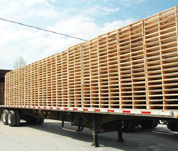 تبخير أخشاب و حاصلات زراعية Fumigation of wood and agricultural cropS