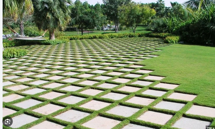 خدمات لاند سكيب