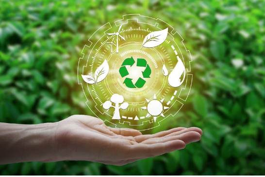 Environmental Consulting