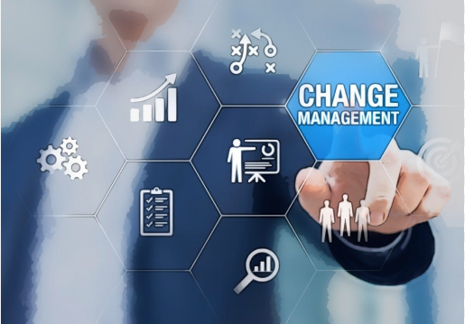 Organizational Transformation Expert